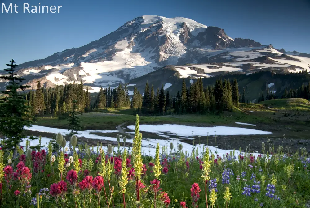 Mt Rainer